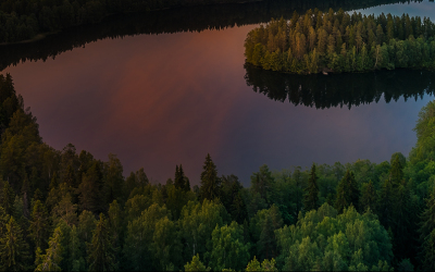 Suomen vahvimmat Platina-sertifikaatti Lämpöhuollolle